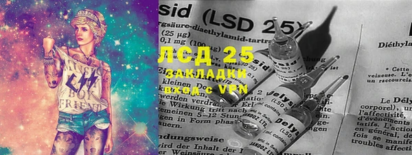 PSILOCYBIN Армянск