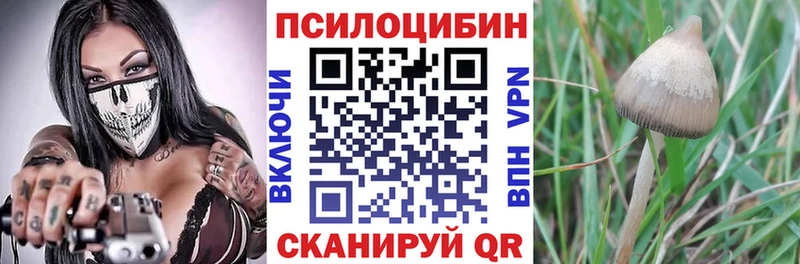 Псилоцибиновые грибы MAGIC MUSHROOMS  закладки  Салехард 